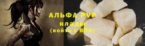 стаф Алексин