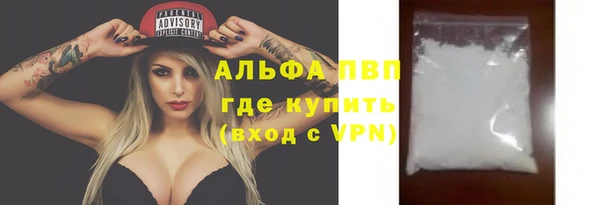 стаф Алексин