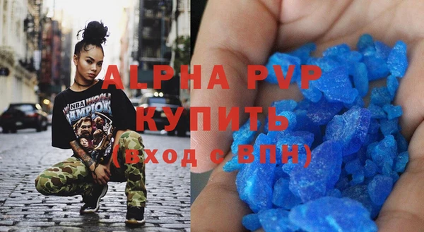 стаф Алексин