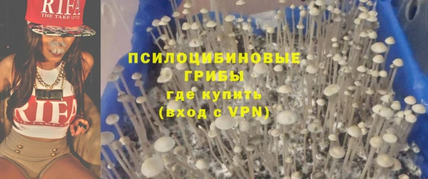 стаф Алексин