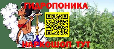 молекула духа Старая Купавна