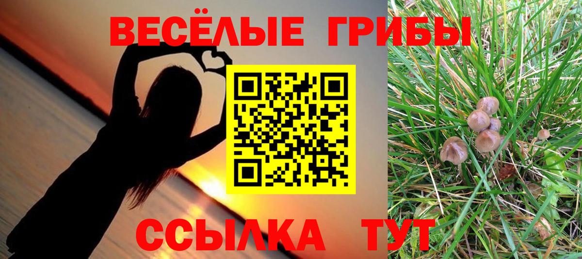 Псилоцибиновые грибы Psilocybe  хочу наркоту  Томск  Псилоцибиновые грибы MAGIC MUSHROOMS  Вход с VPN 